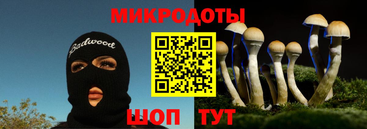 Котлас  Псилоцибиновые грибы ЛСД  где найти наркотики  Вход с VPN 